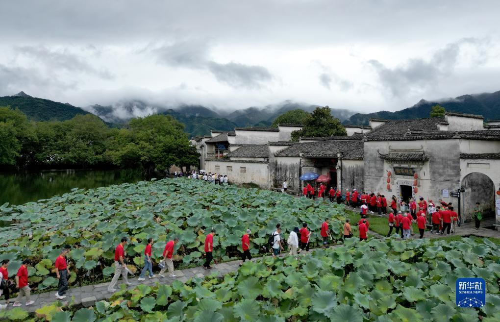 羽林娱乐登录下载